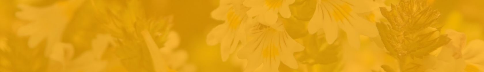 Unsere aktuellen Angebote im Überblick